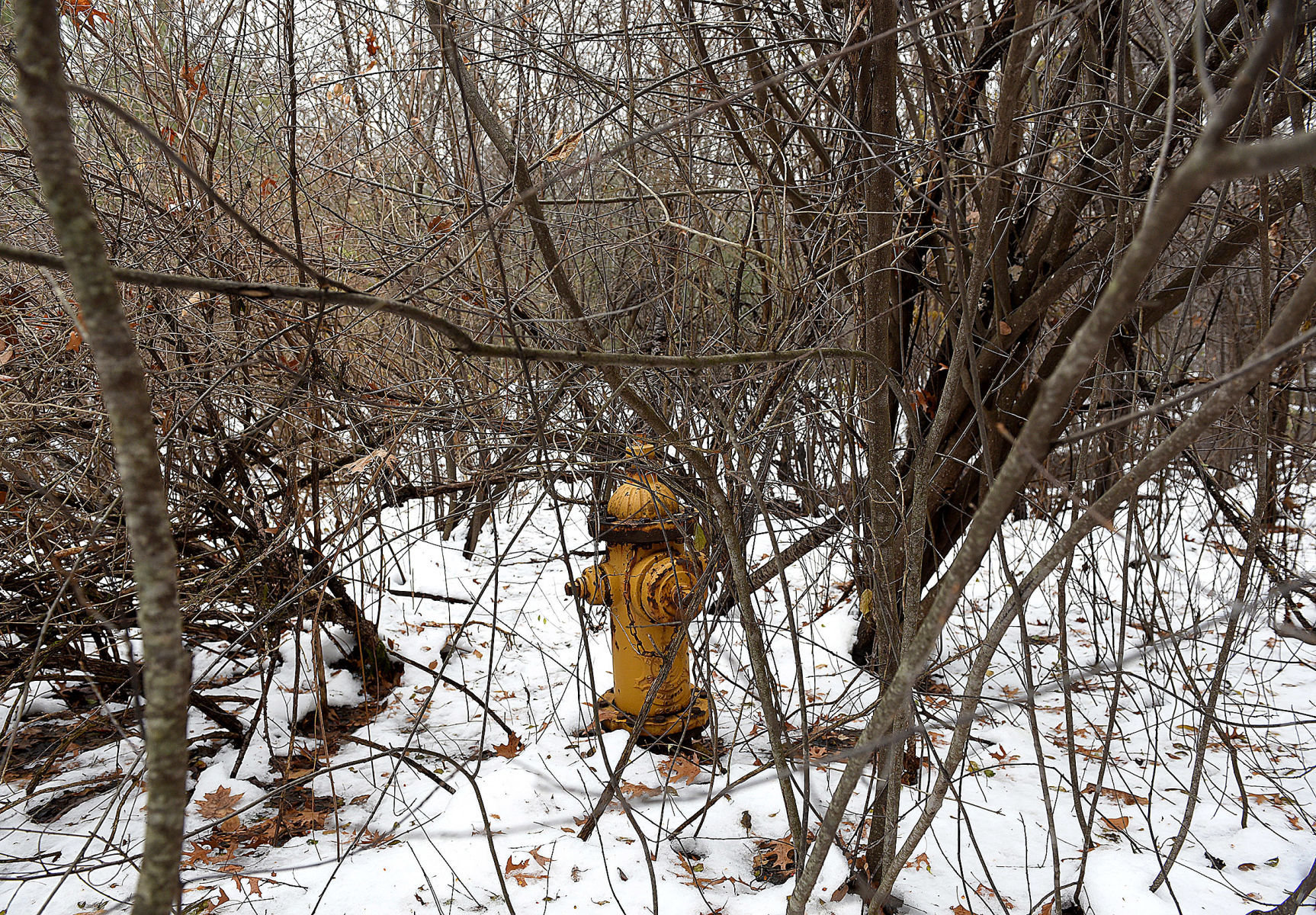 181129-news-hacketthill_015_6661.jpg